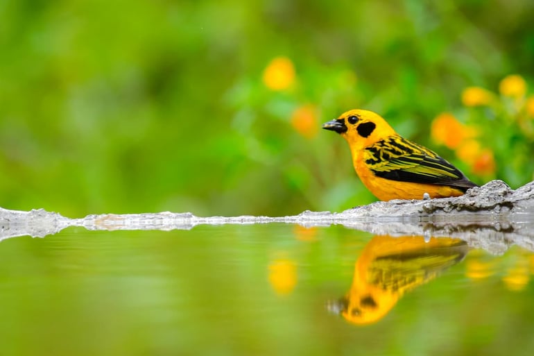 shutterstock_1807786399 (1)