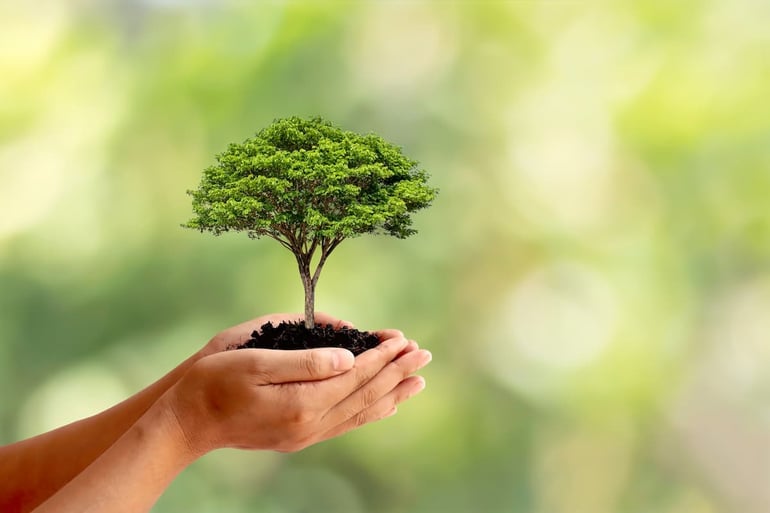 shutterstock_1937062870 (1)